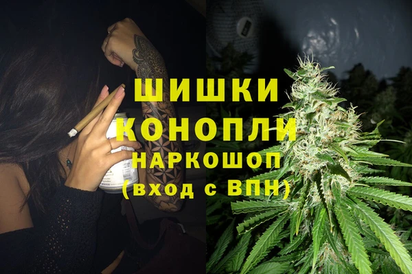 ПСИЛОЦИБИНОВЫЕ ГРИБЫ Михайловск