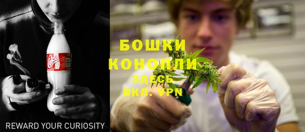 ПСИЛОЦИБИНОВЫЕ ГРИБЫ Михайловск